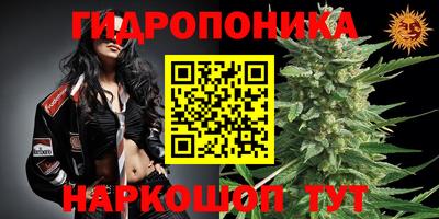 мдпв Азнакаево
