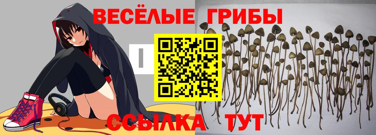 Галлюциногенные грибы мицелий  Вход с VPN  Анапа 
